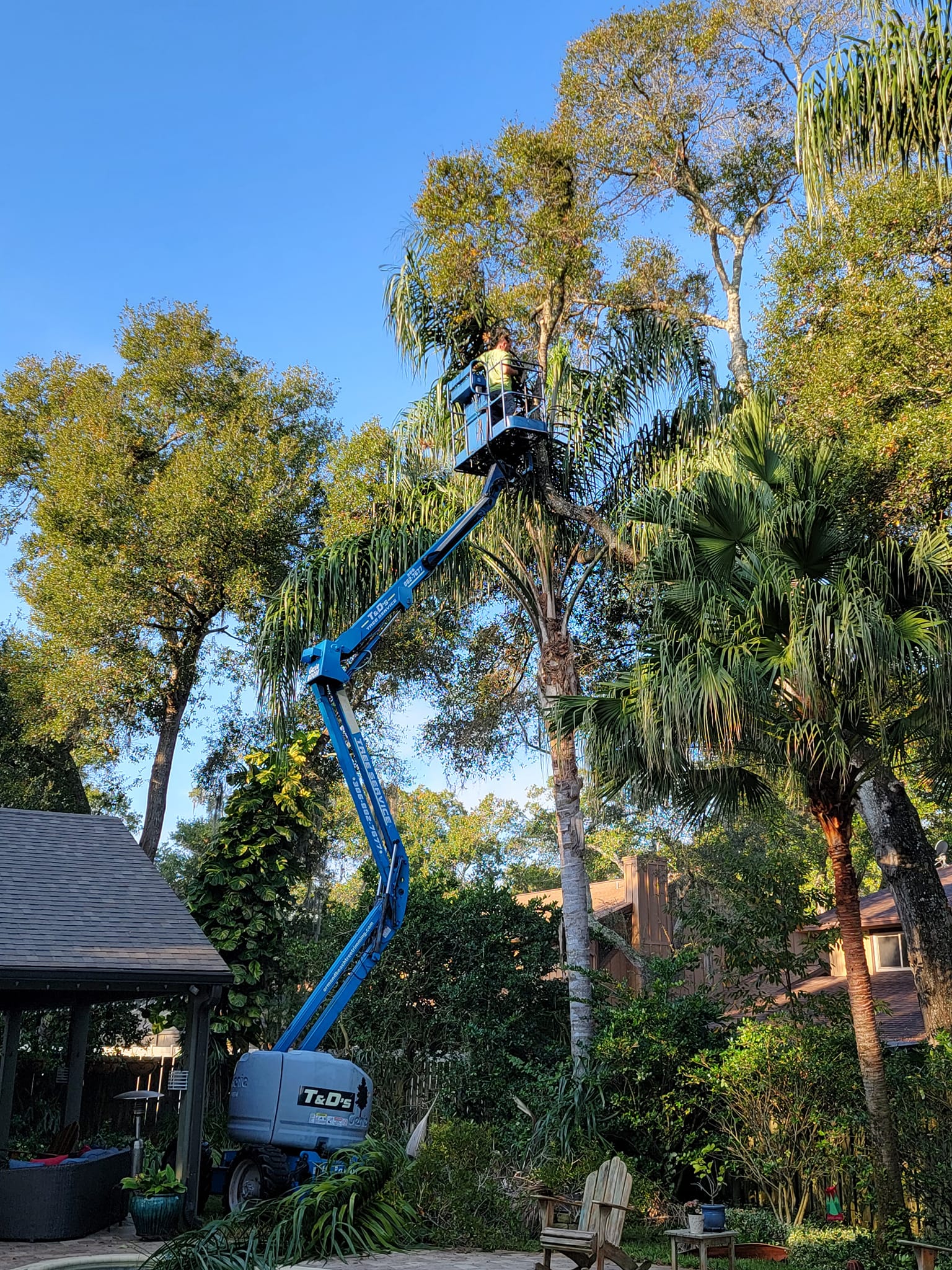person on crane trimming trees